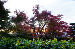金福寺003