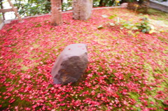 金福寺008