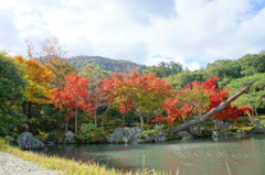 天龍寺005