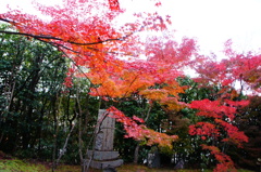 金福寺007