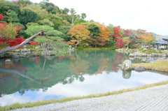 天龍寺003