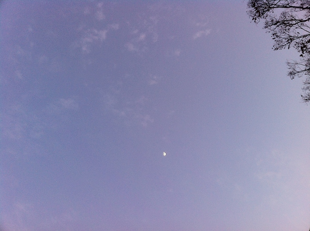ラベンダー色の空