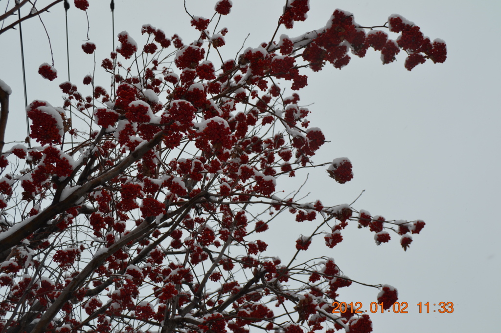 見上げると・・・