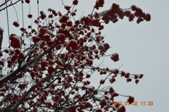 見上げると・・・