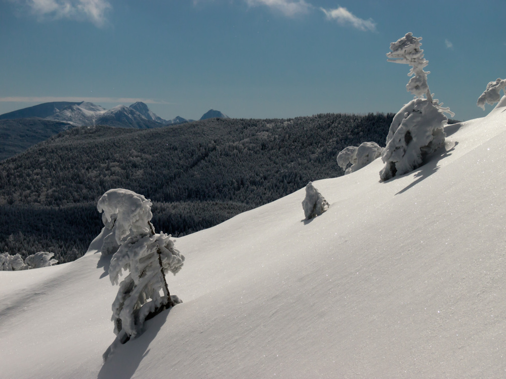 雪の怪獣と八ヶ岳