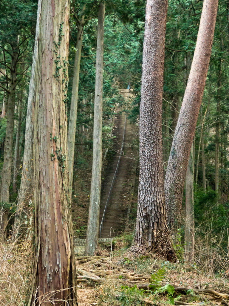 愛宕神社の階段