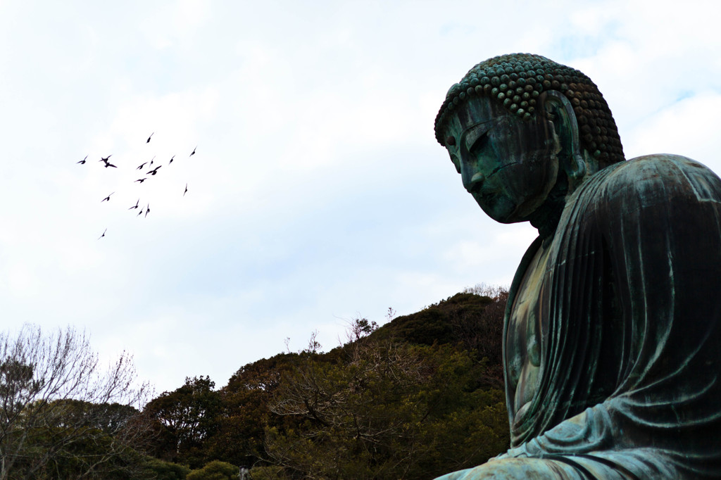 鳥が舞う大仏