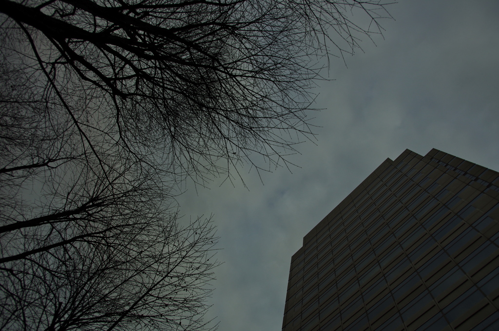 Cold City 2