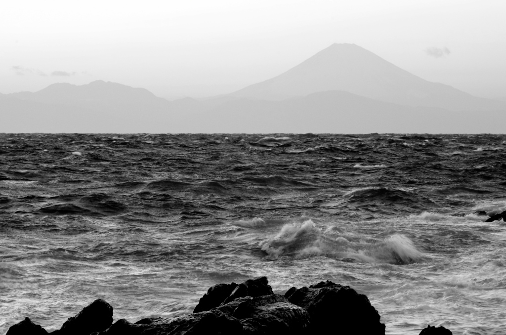 荒ぶる海