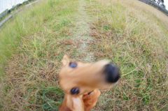 ん？