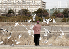 鳥を呼ぶ人