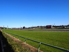 中山競馬場の空2011/12/4