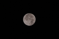 2011-12-11　2：21