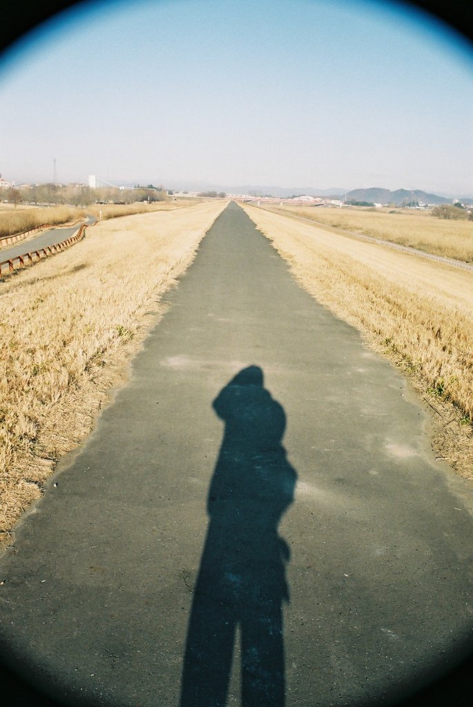 遊歩道の影