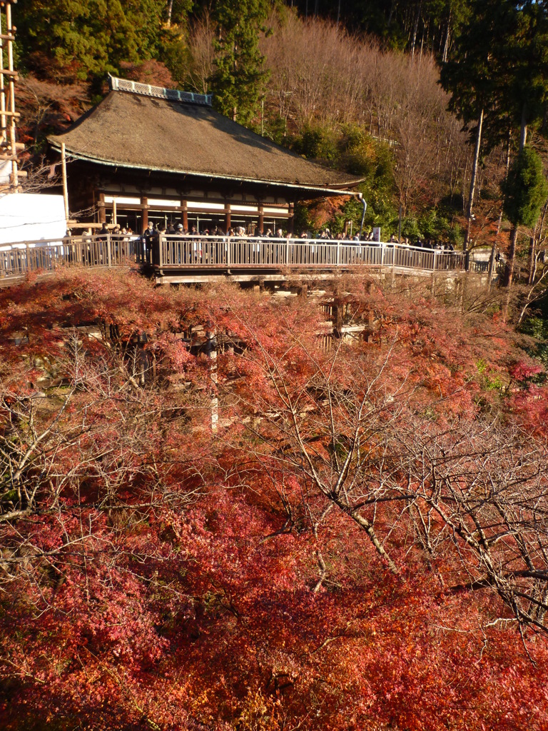 清水寺
