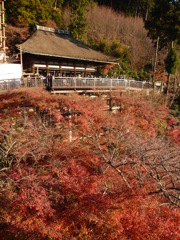 清水寺
