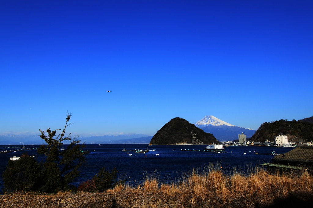 富士山