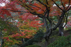 新潟　村松公園