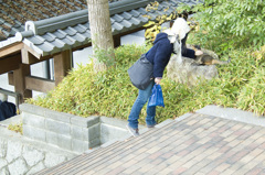 よしよし