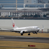 JAL　ボーイング737　新鶴丸塗装