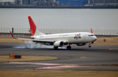 JAL　ボーイング737　旧塗装