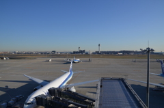 朝の羽田空港