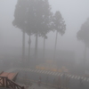 霧の阿里山