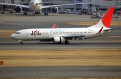 JAL　ボーイング737