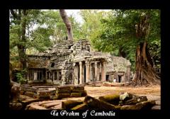 Ta Prohm  of  Cambodia 3