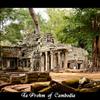 Ta Prohm  of  Cambodia 3