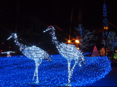 sapporo イルミネーション
