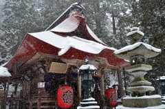 雪の観音寺１ 舞い散る雪