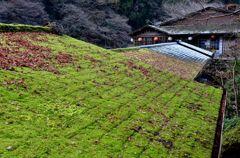 冷気の通り道