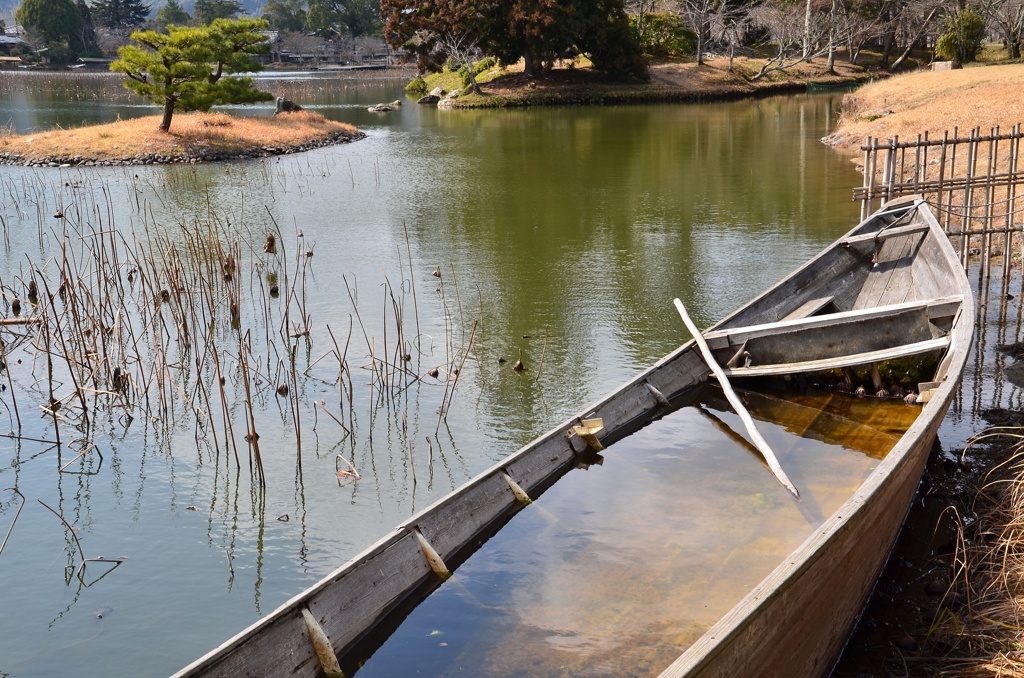 早春の大沢池