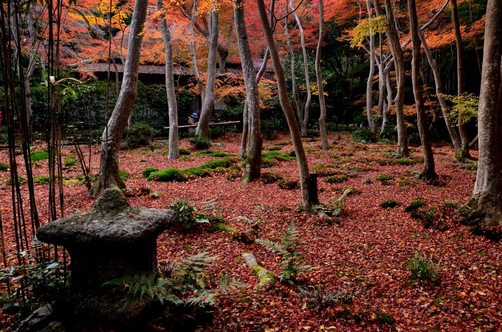 晩秋の祇王寺