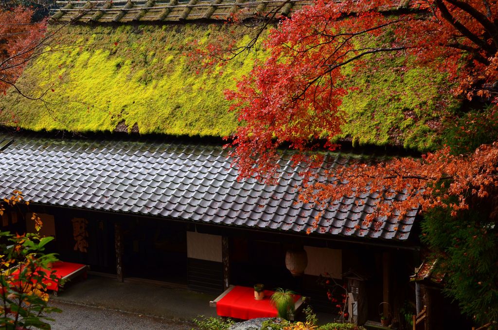 雨の鳥居本１