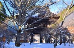 霊松寺山門の銀杏・冬