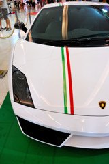 Gallardo