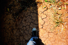 walk