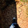 walk