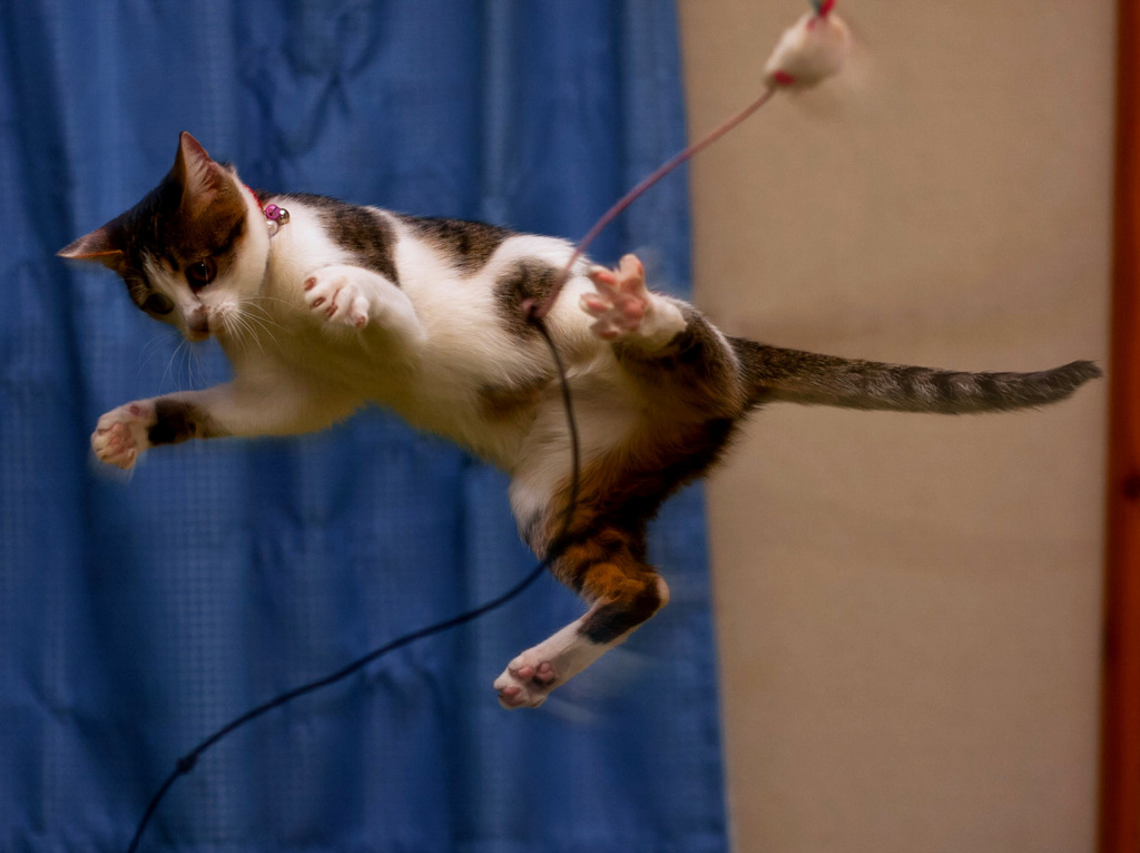 Jump!
