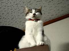 ふ～わふわ～