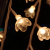 光の花