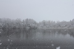 雪の福岡堤