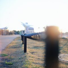 朝公園。