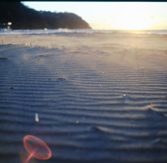 砂浜の風。