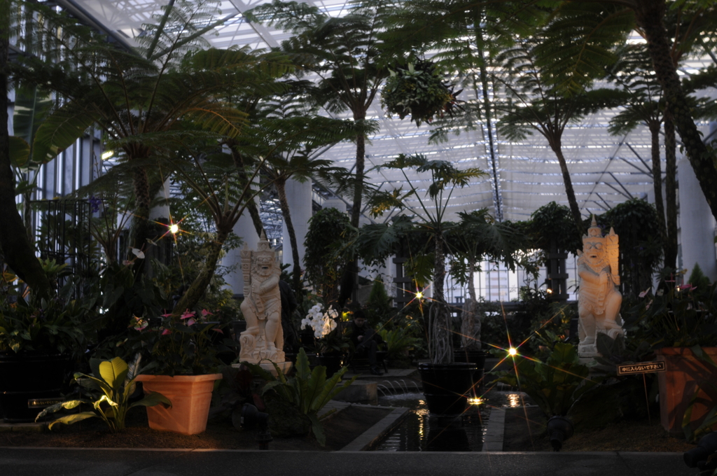 日暮れの植物館