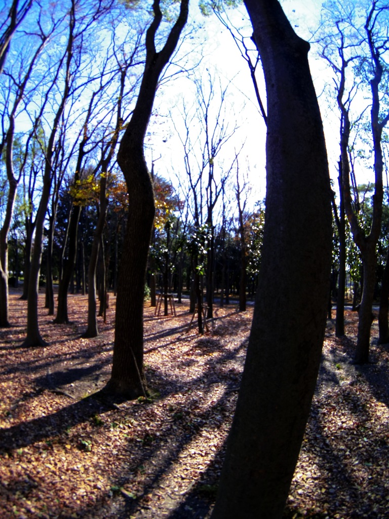 大阪城公園