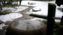 つつおとしと雪