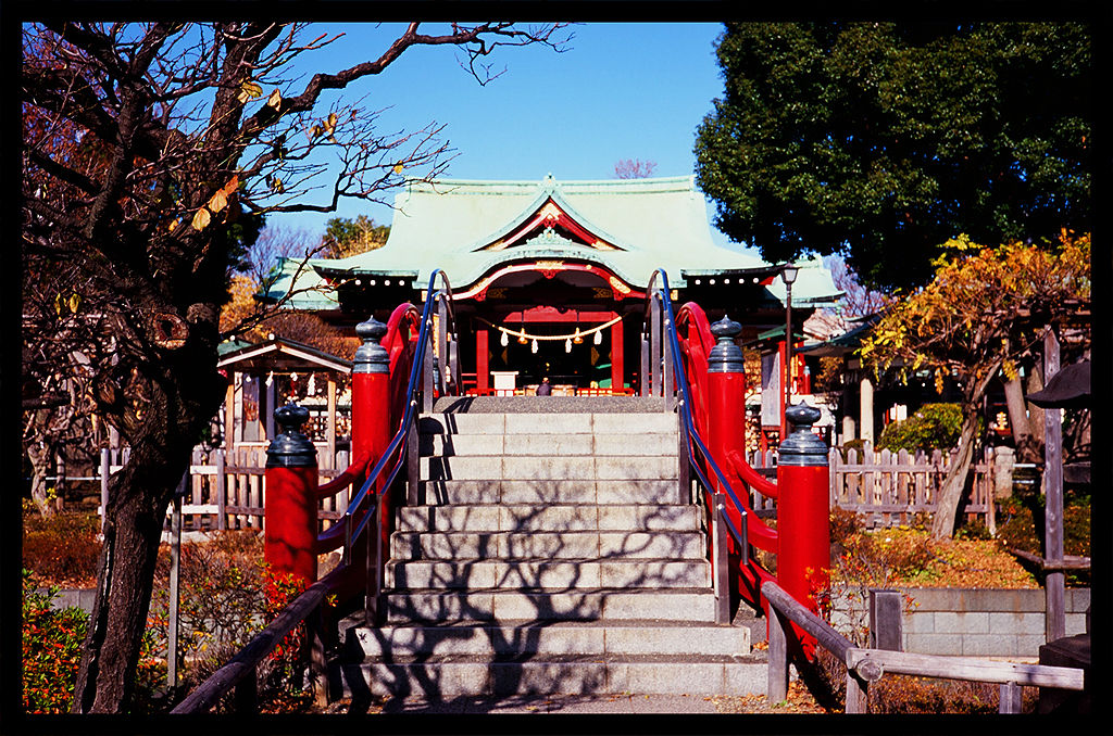 フィルムで撮った亀戸天神社